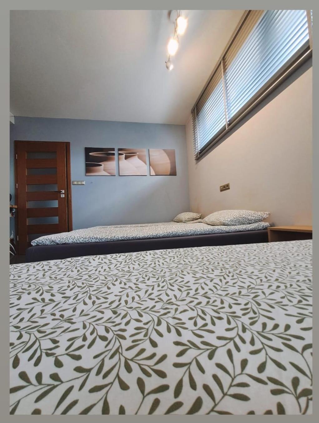 Apartament Studio Piano Plock Luaran gambar